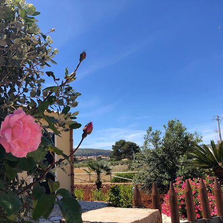 La Villa Dei Girasoli Custonaci Ngoại thất bức ảnh